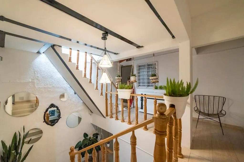 Medellin Minimal Apartment Pet Friendly 203 Colombia